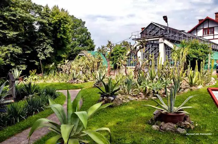 Iata o colectie impresionanta de gradini botanice din Romania