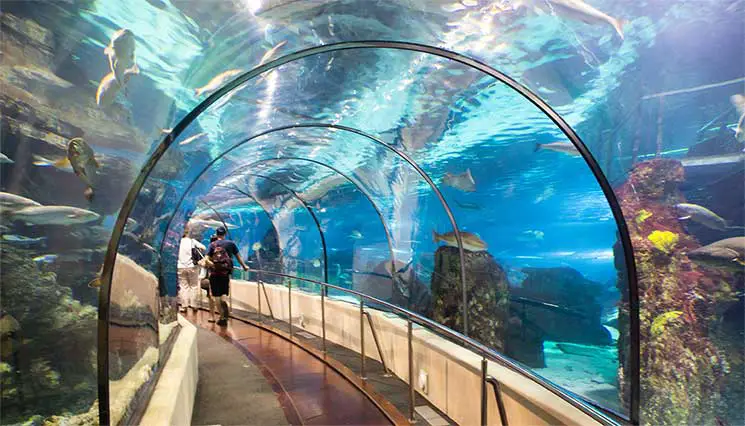 Aquarium Barcelona. Sursa foto: tvl.ro