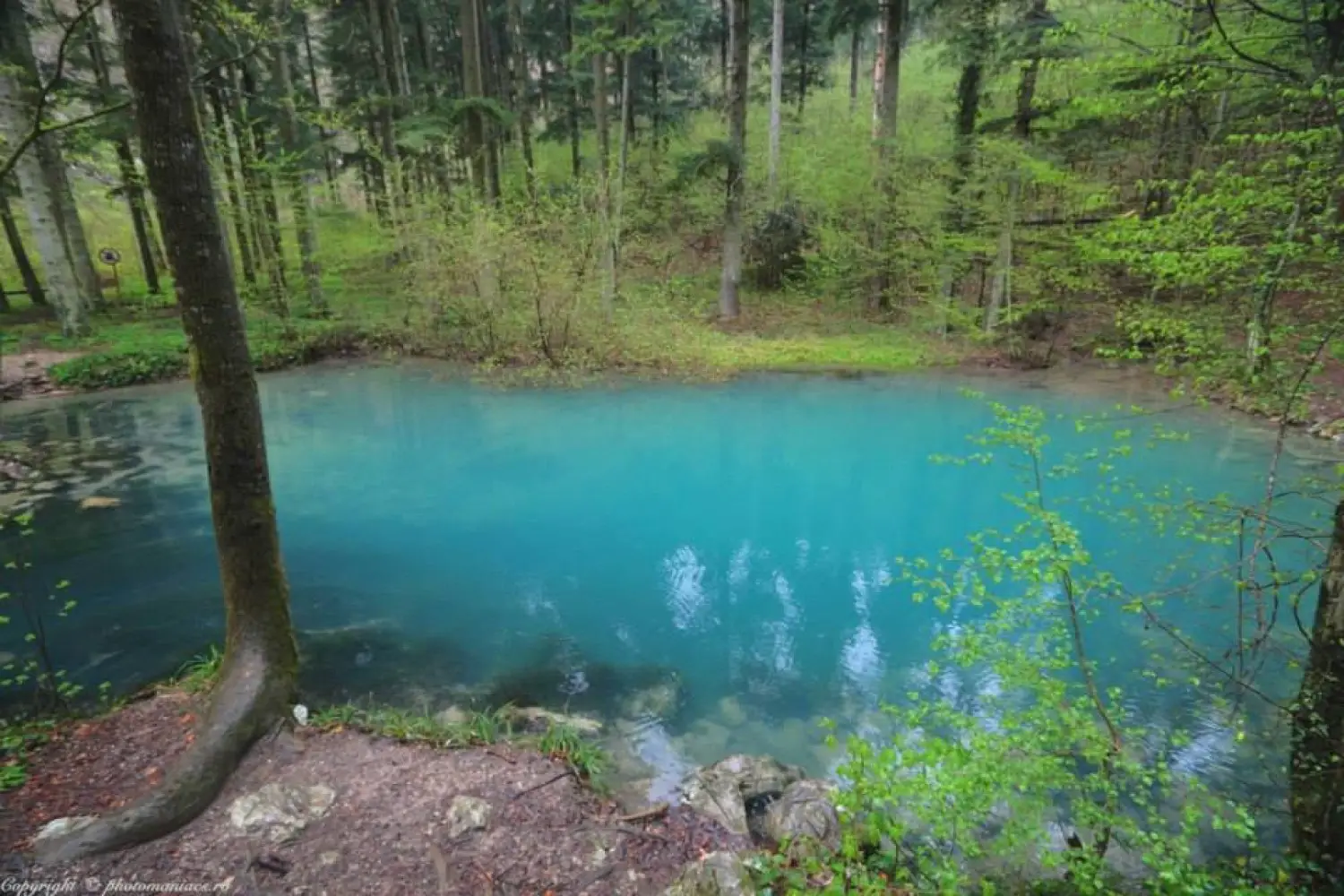 Lacul din Romania care nu ingheata niciodata. O minune la care trebuie sa ajungi pe timp de iarna