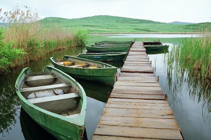 Lacul Stiucilor. Delta Dunarii din Transilvania. Locul in care stuful creste in voie