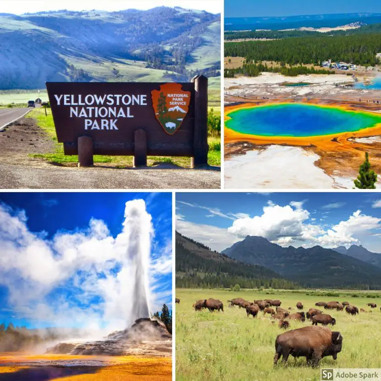 Yellowstone. In vizita la primul parc national din lume