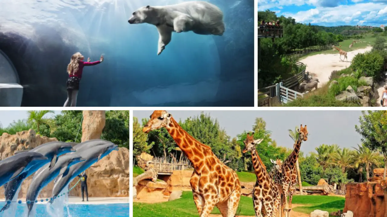 8 gradini zoologice ecologice in Europa. Adevarate habitate naturale