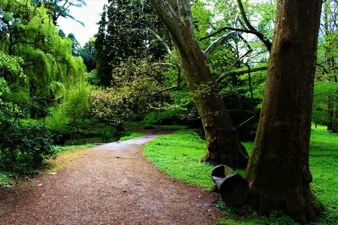 Arboretumul Simeria. Cel mai mare parc dendrologic din tara. Iata cat de frumoasa e zona