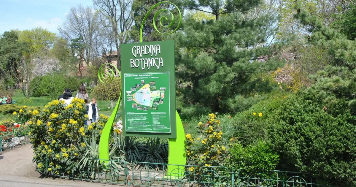 In Bucuresti. 7 alternative interesante la parcurile aglomerate
