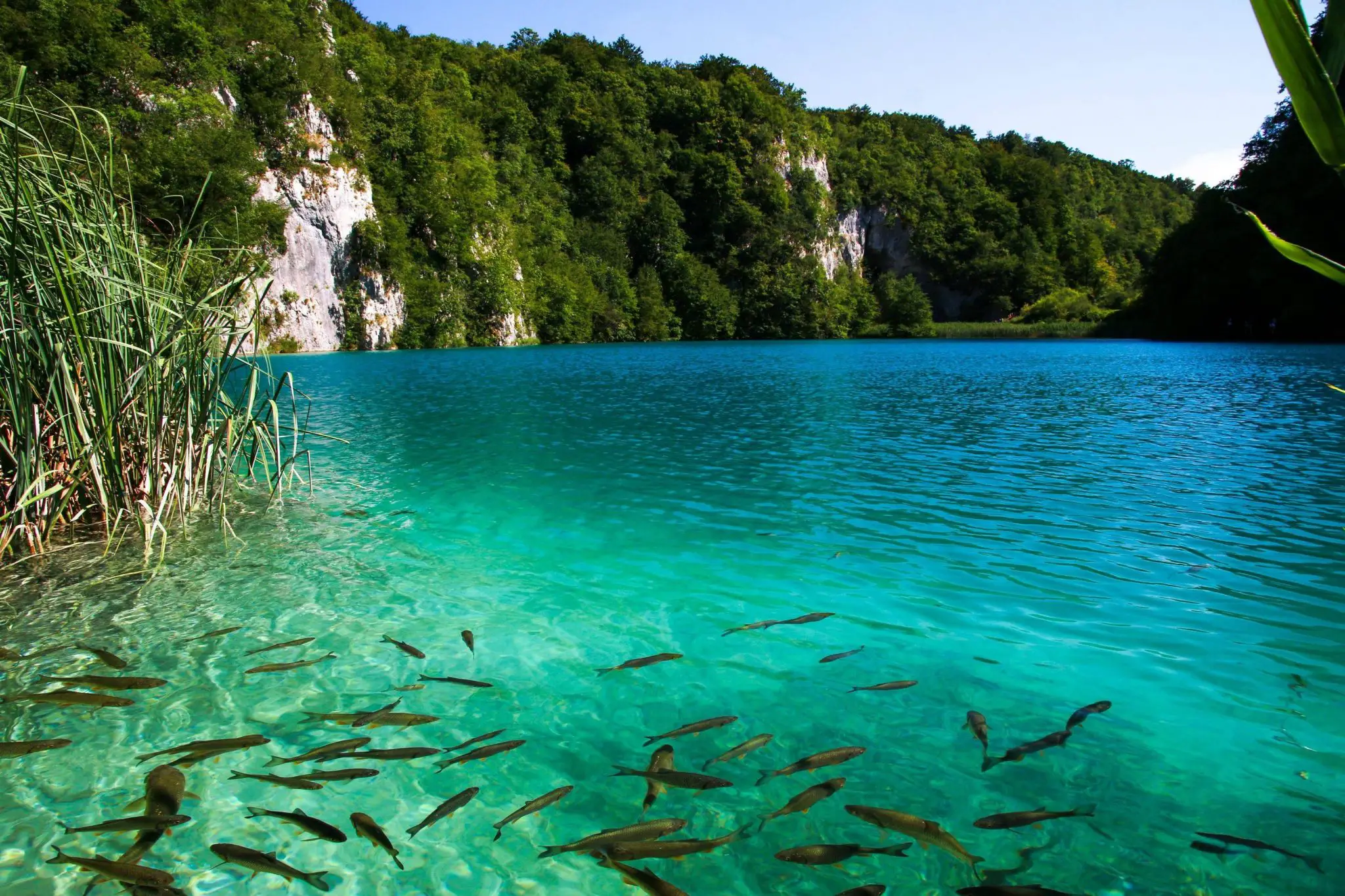 Parcul National Lacurile Plitvice. Pledoaria naturii in inima Croatiei