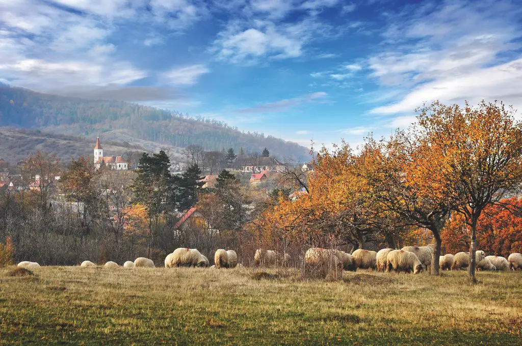 Obiective turistice in Sibiu si imprejurimi. Cum poti umple timpul in Hermannstadt