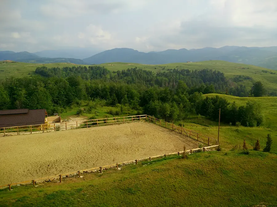 Runcu. Una dintre cele mai frumoase localitati rurale din Romania