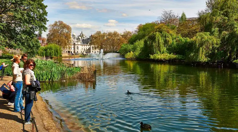 Parcurile regale ale Londrei. Cele mai frumoase zone cu verdeata pentru plimbari sub cerul tomnatic