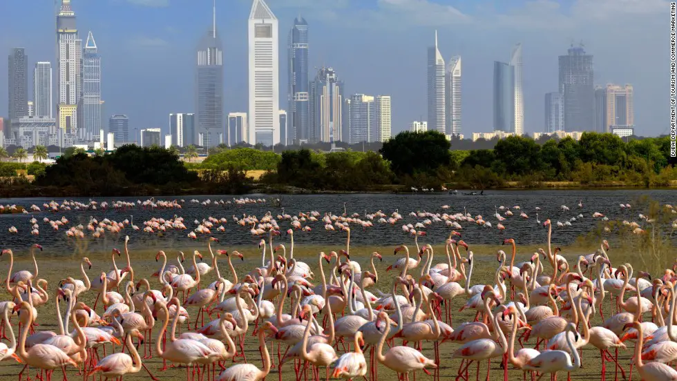 10 lucruri gratis pe care sa le faci in Dubai. O destinatie insorita tot timpul anului