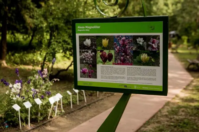 Gradina Botanica din Bucuresti – in pas cu noile tehnologii – acces la internet si incarcarea telefoanelor