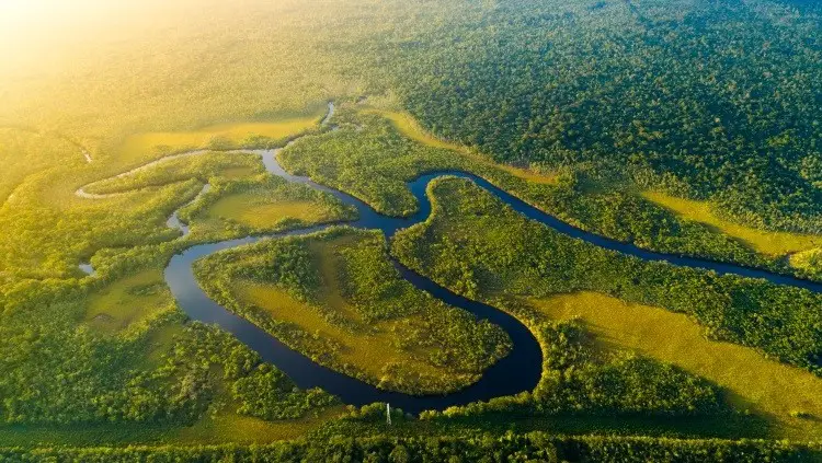 safari pe Amazon